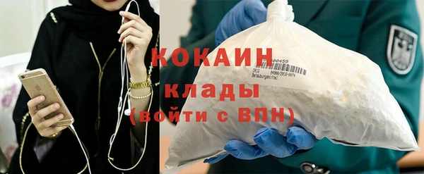 бошки Няндома