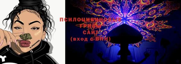 бошки Няндома